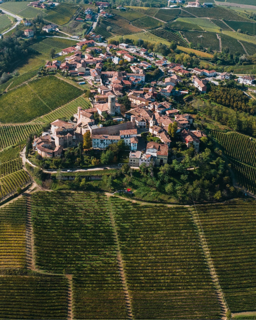 evidenza Piemonte Langhe Alba Serralunga Abbazia Staffarda cm viaggi tour operator